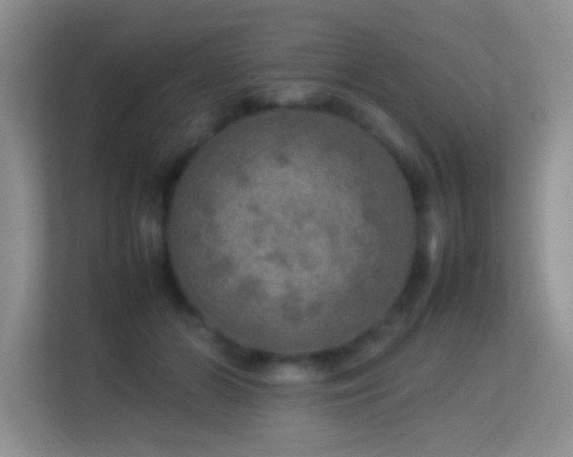 X0000113640510200909251244