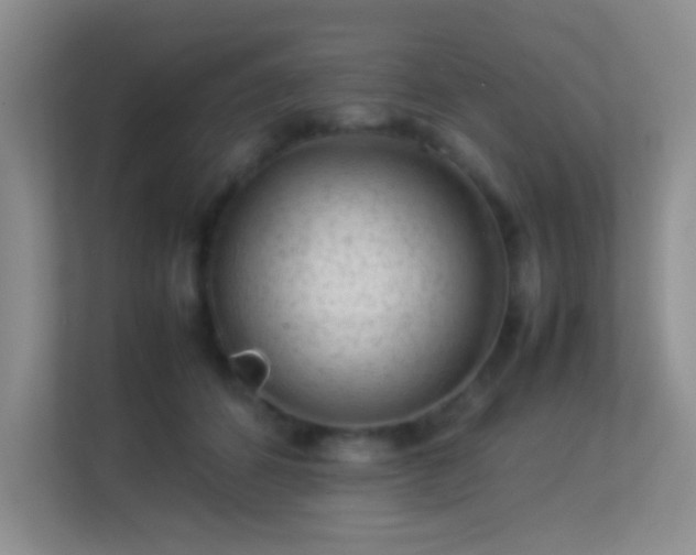 X0000113640512200909251244