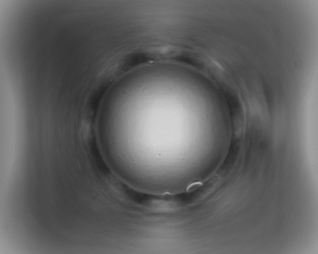 X0000113640515200909251244