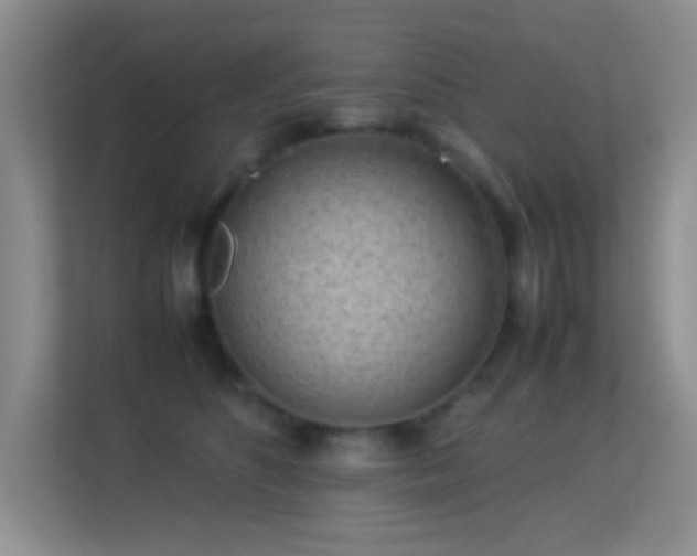 X0000113640516200909251244