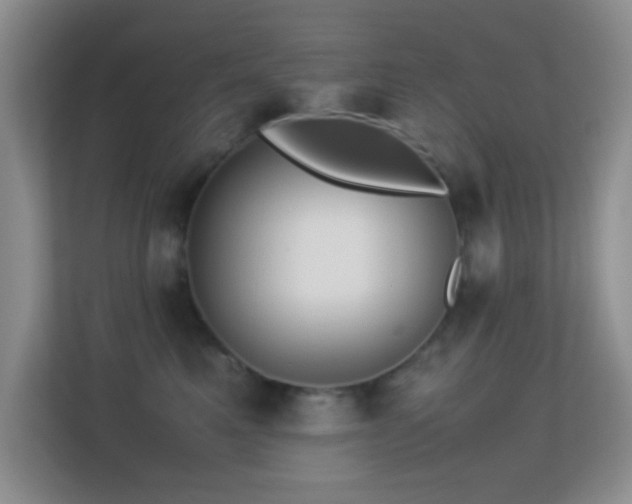 X0000113640521200909251244