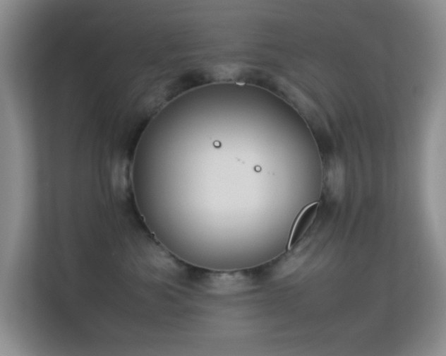 X0000113640525200909251244