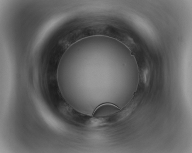 X0000113640526200909251243