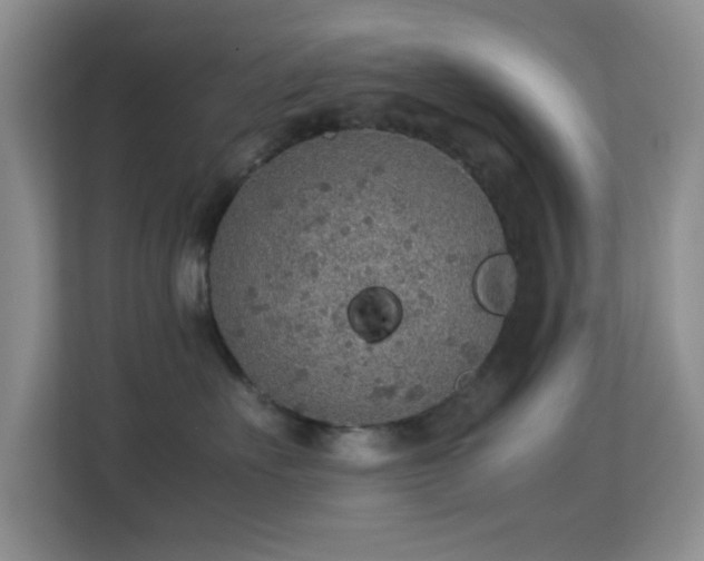 X0000113640527200909251243