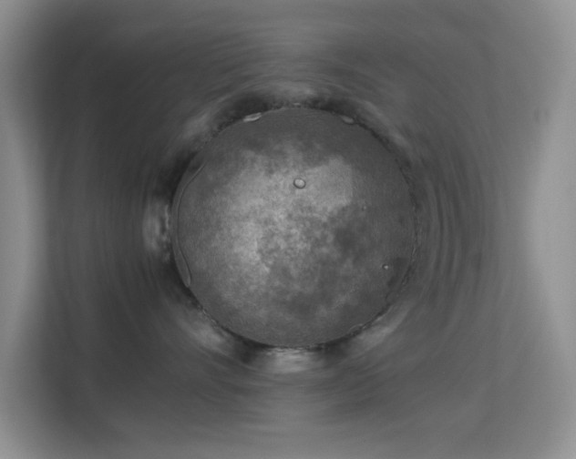 X0000113640528200909251243