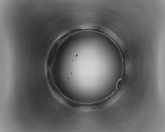 X0000113640530200909251243