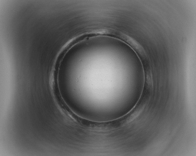 X0000113640532200909251243