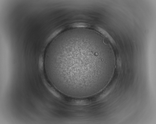 X0000113640533200909251243