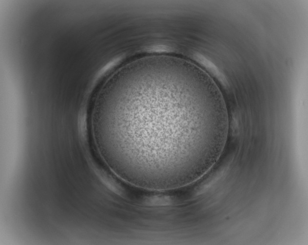 X0000113640535200909251243