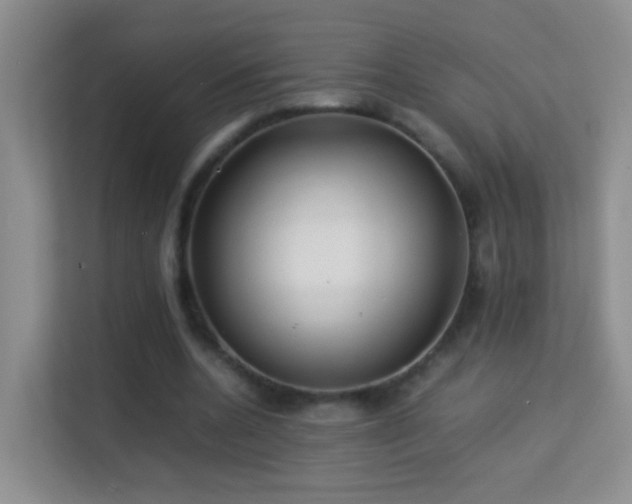 X0000113640536200909251243