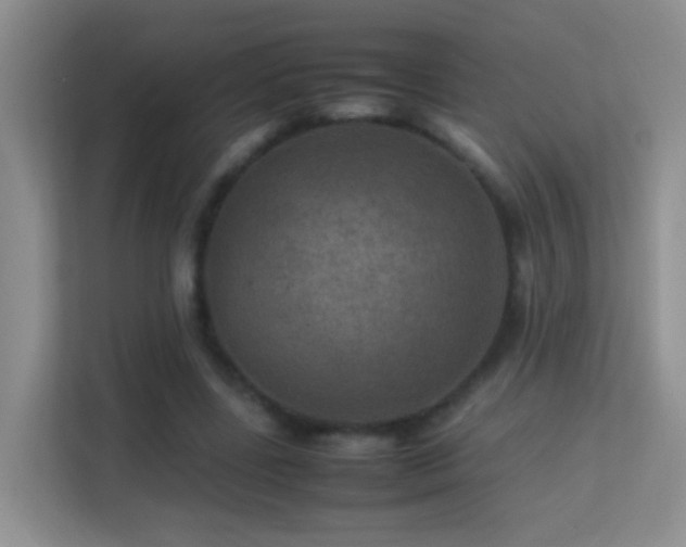 X0000113640539200909251243