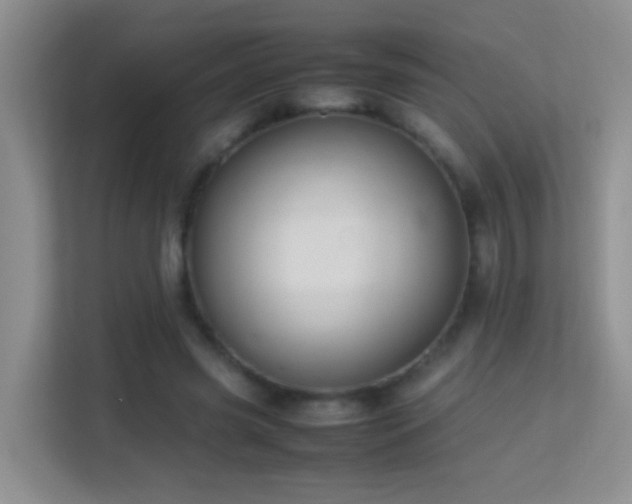 X0000113640541200909251243