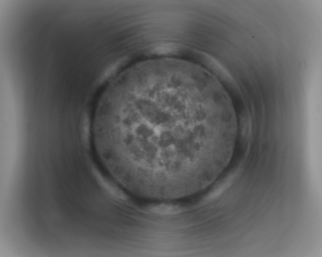 X0000113640542200909251243