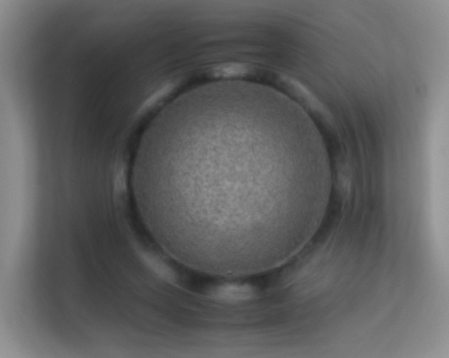 X0000113640543200909251243