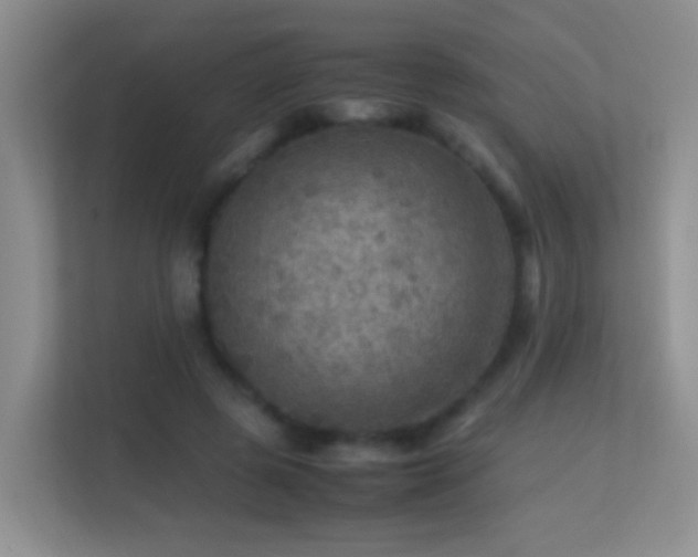 X0000113640545200909251243