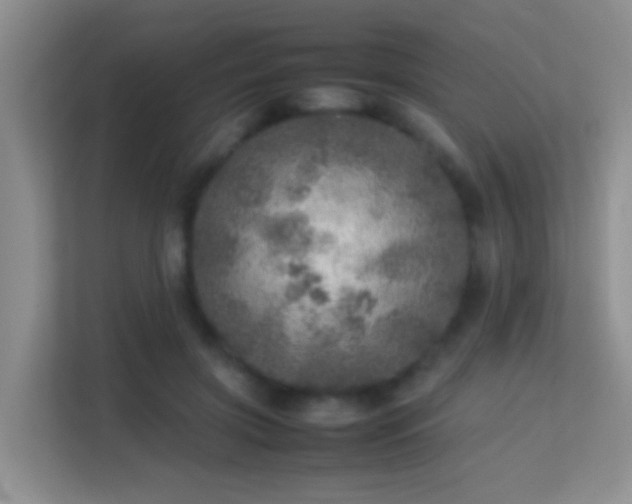 X0000113640549200909251243