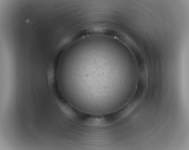 X0000113640552200909251243