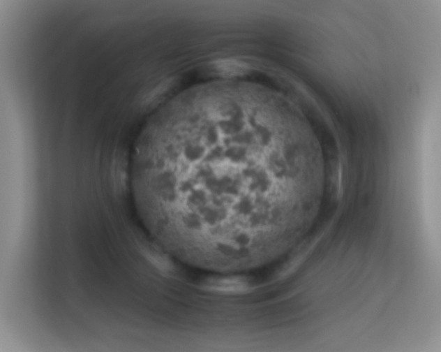 X0000113640553200909251243