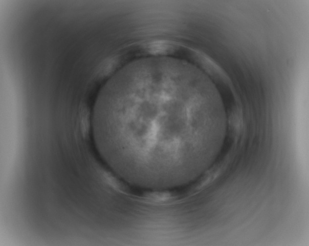 X0000113640554200909251243