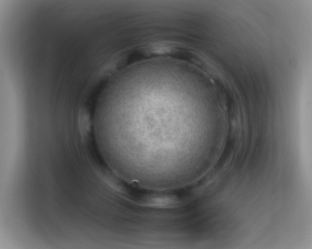 X0000113640555200909251243