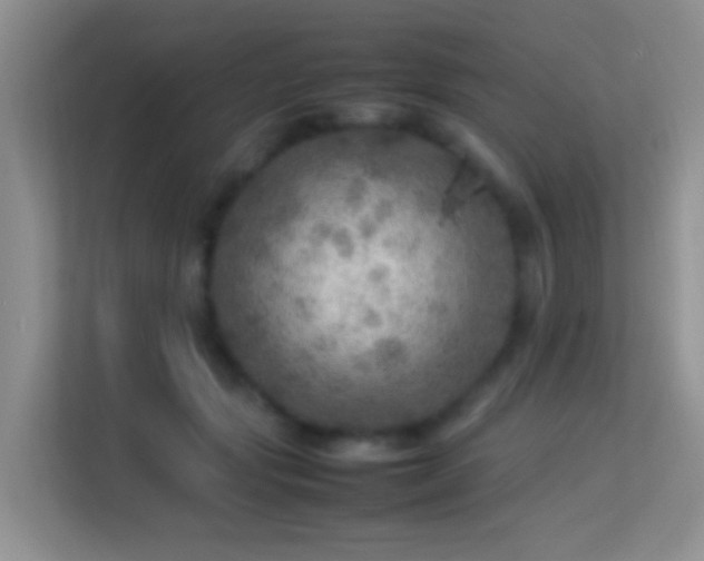 X0000113640557200909251243