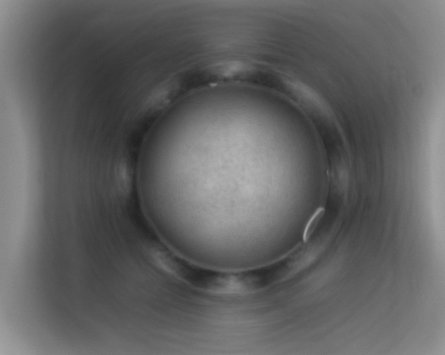 X0000113640558200909251243