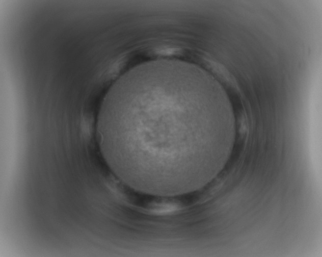 X0000113640559200909251243