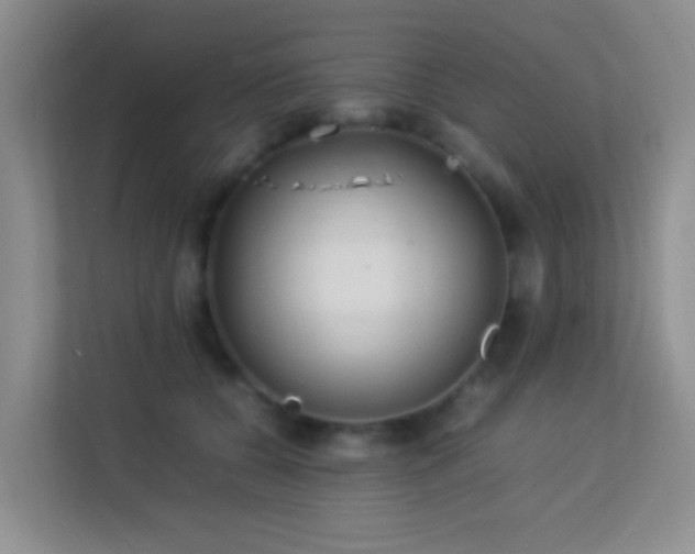 X0000113640560200909251243