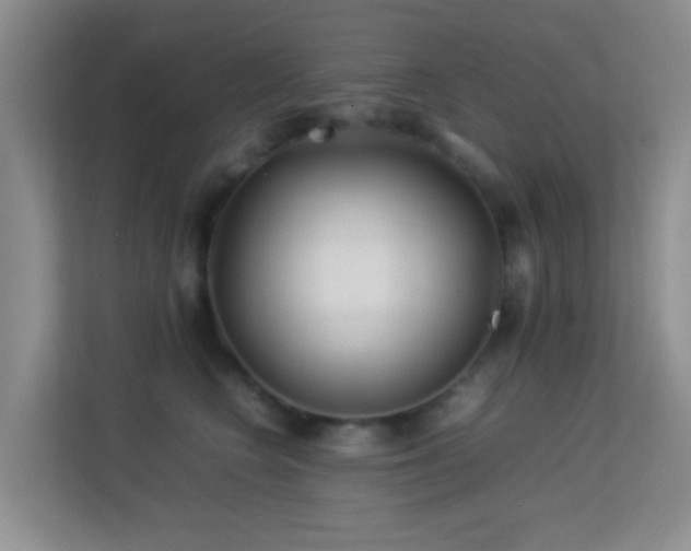 X0000113640566200909251243