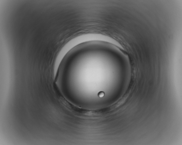 X0000113640568200909251243