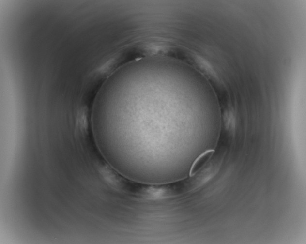 X0000113640570200909251243