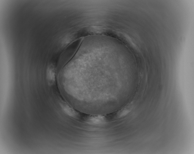 X0000113640576200909251243