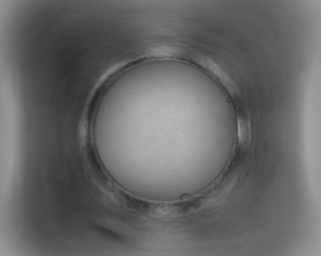 X0000113640579200909251243