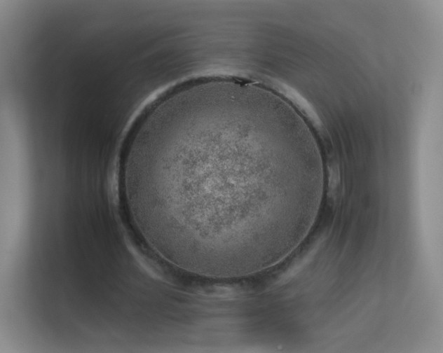 X0000113640580200909251243