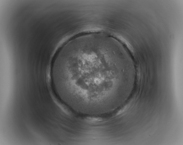 X0000113640582200909251243