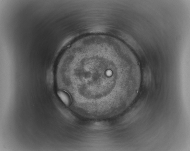 X0000113640584200909251243