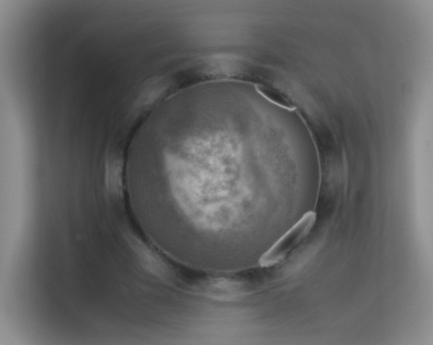 X0000113640585200909251243