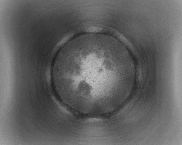 X0000113640586200909251243