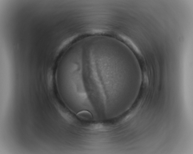 X0000113640588200909251243