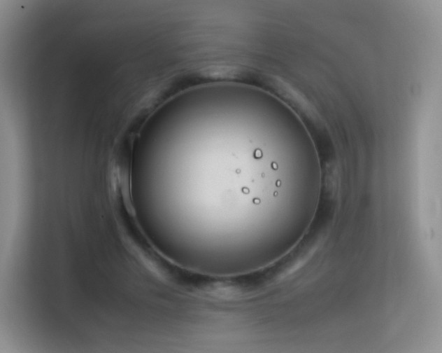 X0000113640589200909251243