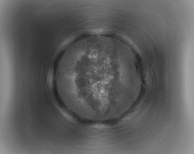 X0000113640590200909251243