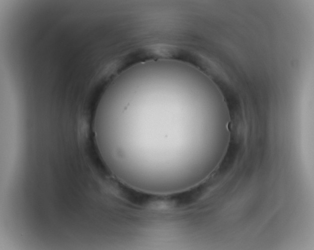 X0000113640595200909251243