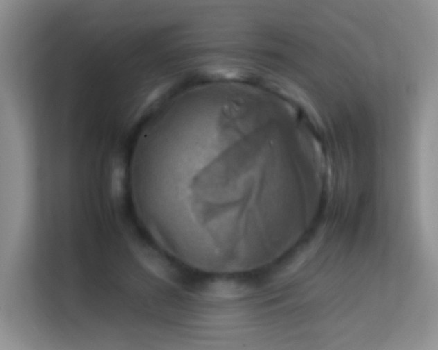 X0000113640596200909251243