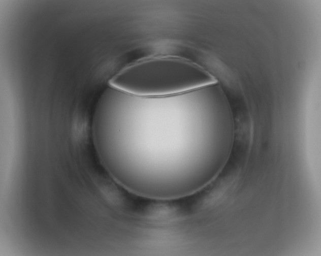 X0000113640597200909251243