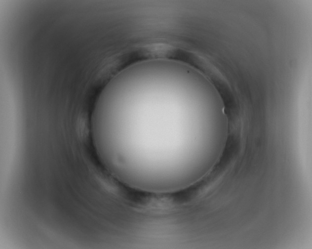 X0000113640599200909251242