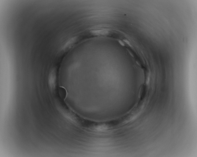 X0000113640600200909251242