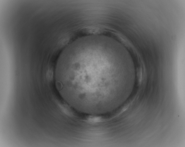 X0000113640602200909251242