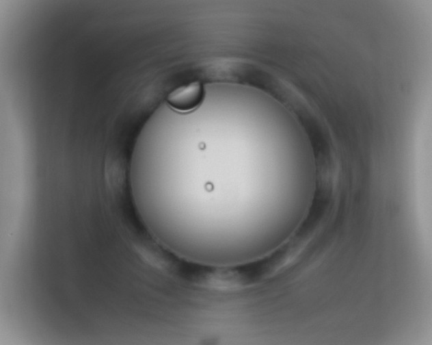 X0000113640603200909251242