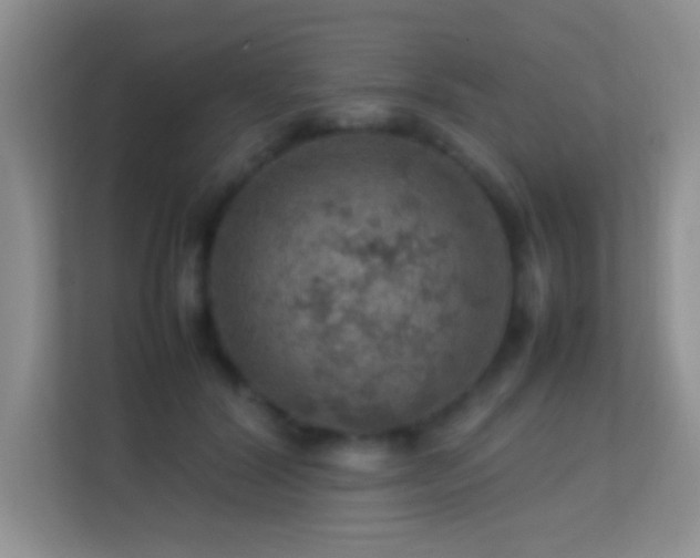 X0000113640604200909251242