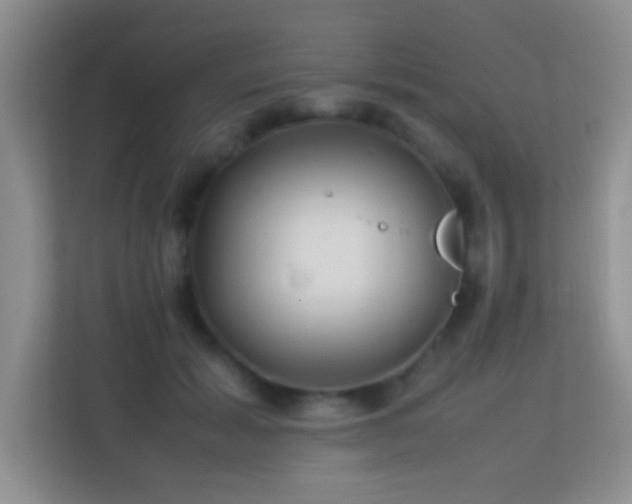 X0000113640605200909251242